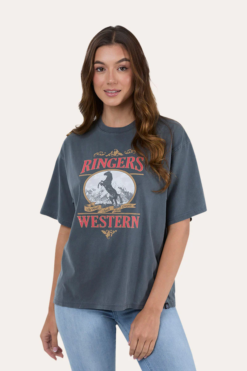 Horsin Around Womens Oversized T-Shirt - Image 5