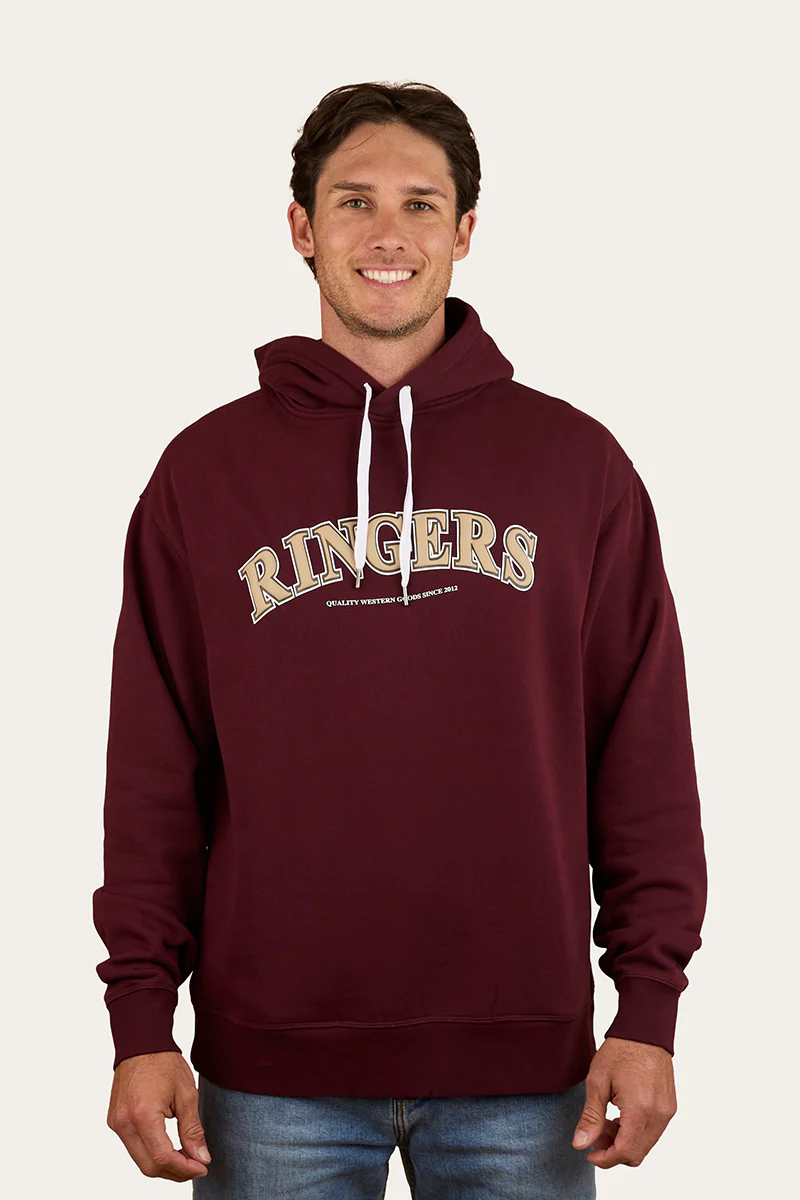 Princeton Mens Hoodie - Image 4