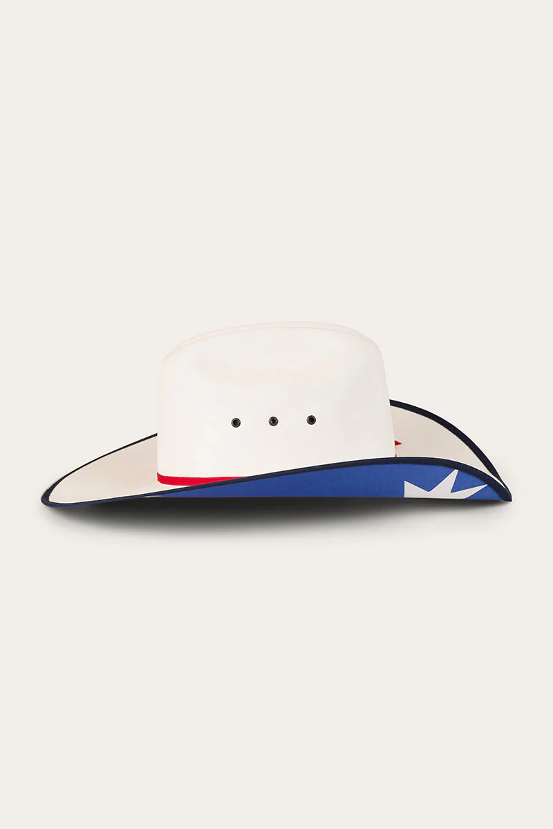 The Patriot - Image 4